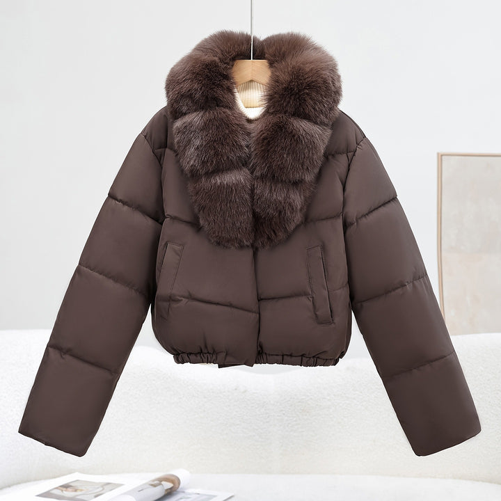 Damen Kurz‑Pufferjacke im Boxy‑Cut mit voluminösem Fellkragen und elastischem Saum Echo Archiv