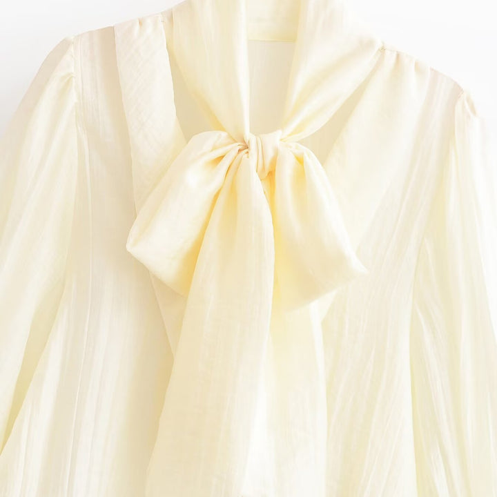 Damen Elegante Chiffonbluse mit Schleifenkragen, Plissee-Detail und Ballonärmeln Echoarchiv