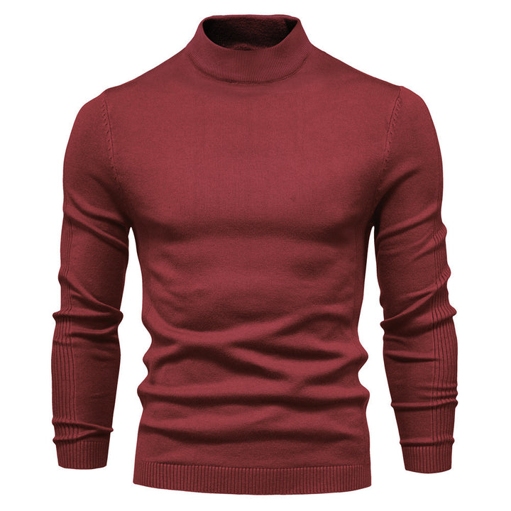 Herren stilvoller Rollkragenpullover aus weicher Merinowolle Echoarchiv