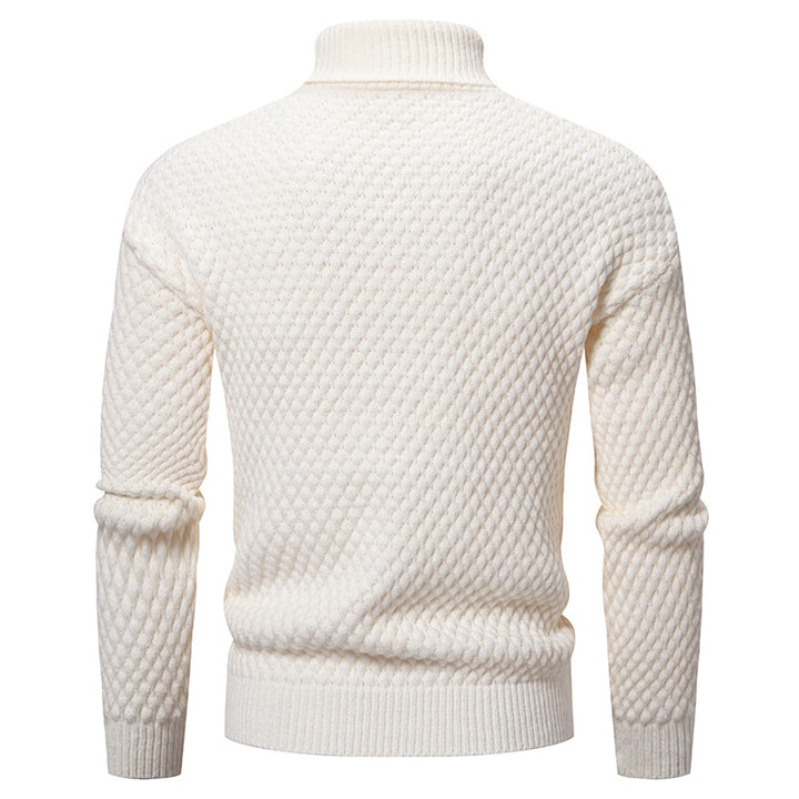 Herren modischer Rollkragenpullover mit strukturierter Oberfläche Echoarchiv