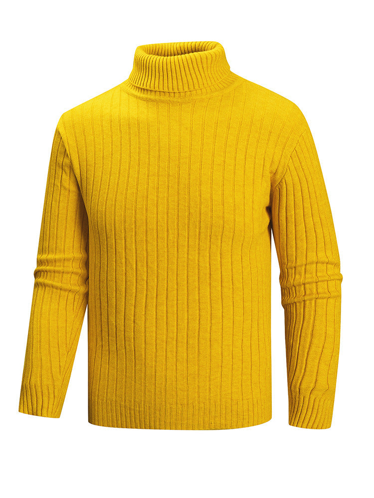 Herren Rollkragenpullover aus hochwertigem Feinstrick Echoarchiv