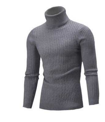 Herren nan gerippter Rollkragenpullover mit Zopfmuster und körpernaher Slim-Fit-Silhouette Echo Archiv