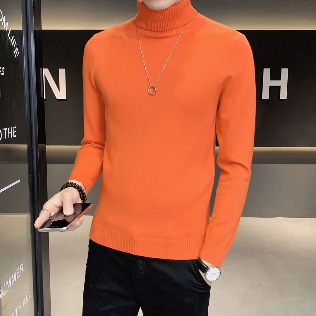 Herren Pullover mit hohem Kragen aus weicher Strickware Echoarchiv