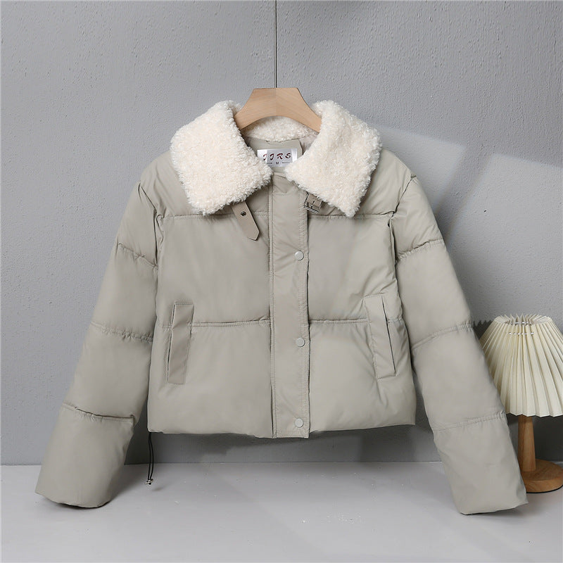 Damen nan kurze gesteppte Winterjacke mit Teddykragen, wattierter Isolierung und verdecktem Druckknopfverschluss Echo Archiv