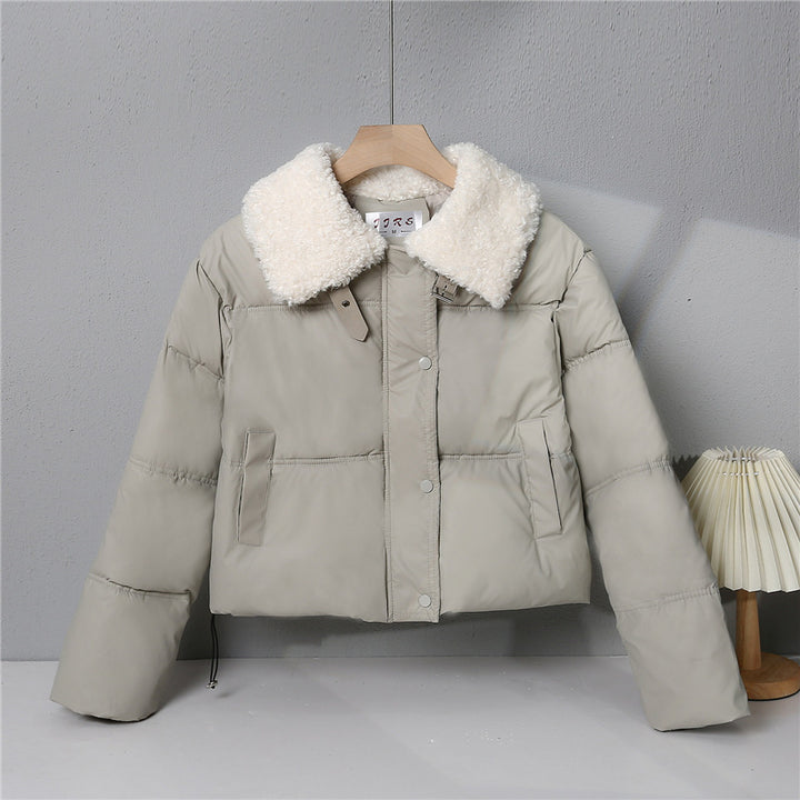 Damen nan kurze gesteppte Winterjacke mit Teddykragen, wattierter Isolierung und verdecktem Druckknopfverschluss Echo Archiv