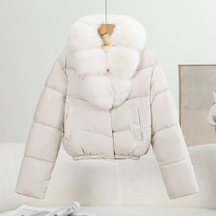 Damen Kurz‑Pufferjacke im Boxy‑Cut mit voluminösem Fellkragen und elastischem Saum Echo Archiv