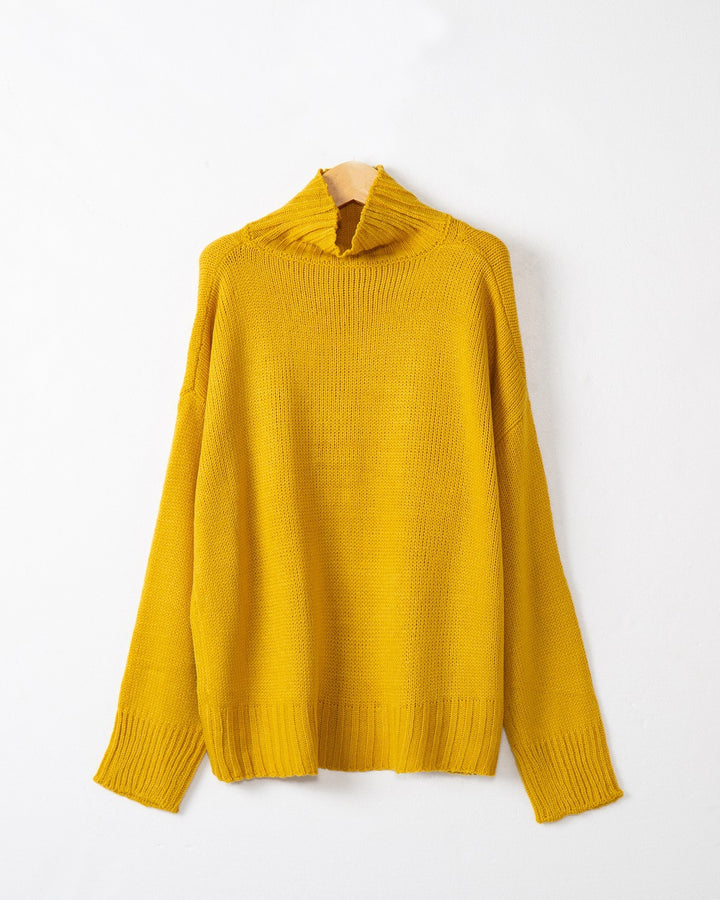 Damen Rollkragen-Pullover aus Grobstrick mit Oversize-Schnitt Echo Archiv
