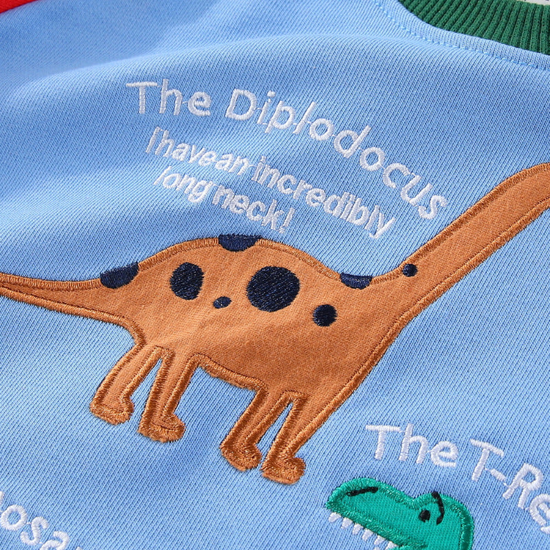 Jungen Sweatshirt mit lustigem Dinosaurierdesign Echo Archiv