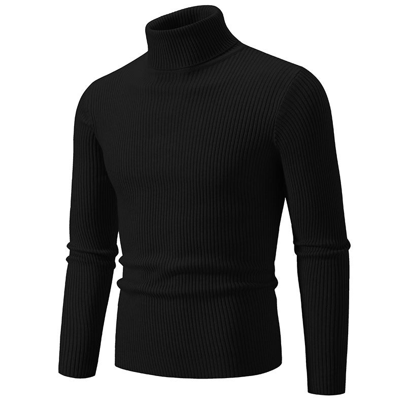 Herren feiner Rollkragenpullover aus langlebigem Strickmaterial Echoarchiv
