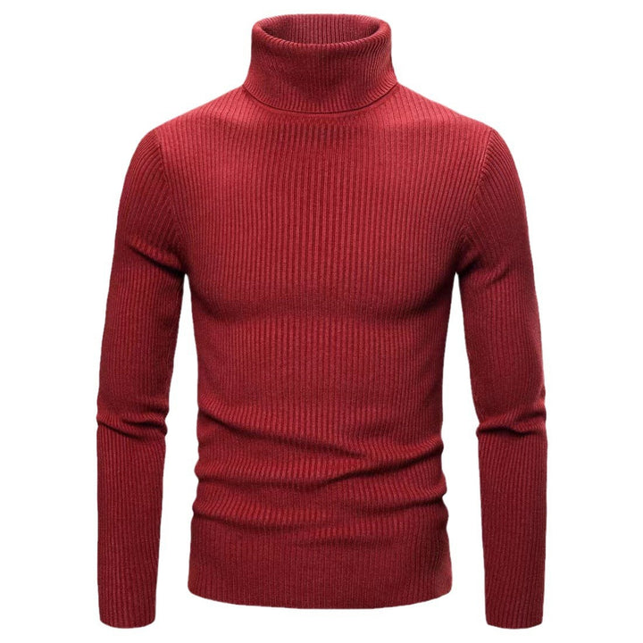 Herren Eleganter Rollkragenpullover aus feiner Strickqualität Echoarchiv