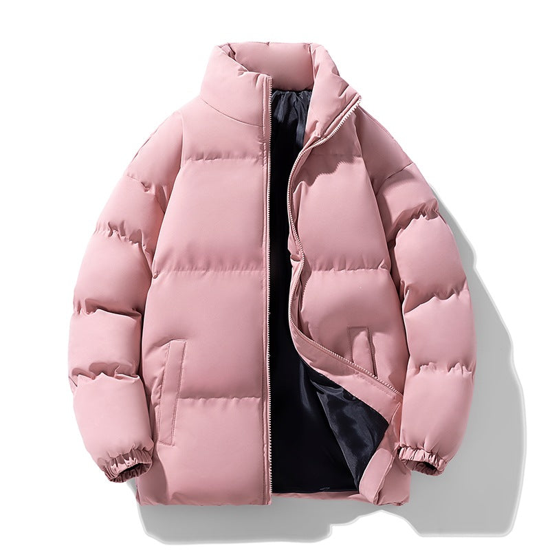 Herren Wattierte Puffer‑Übergangsjacke mit Stehkragen, Reißverschluss & Elastbündchen Echoarchiv