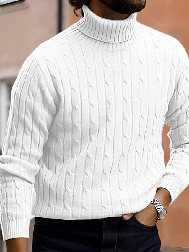 Herren modischer Rollkragenpullover aus feinem Strick Echoarchiv