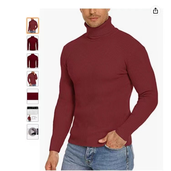 Herren Stehkragen Pullover aus ribbeltem Strick Echoarchiv