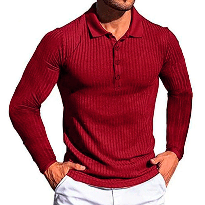 Herren elegantes langärmliges Poloshirt im strukturierten Design Echoarchiv