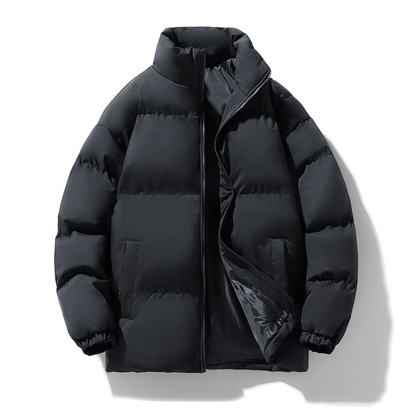 Herren Wattierte Puffer‑Übergangsjacke mit Stehkragen, Reißverschluss & Elastbündchen Echoarchiv