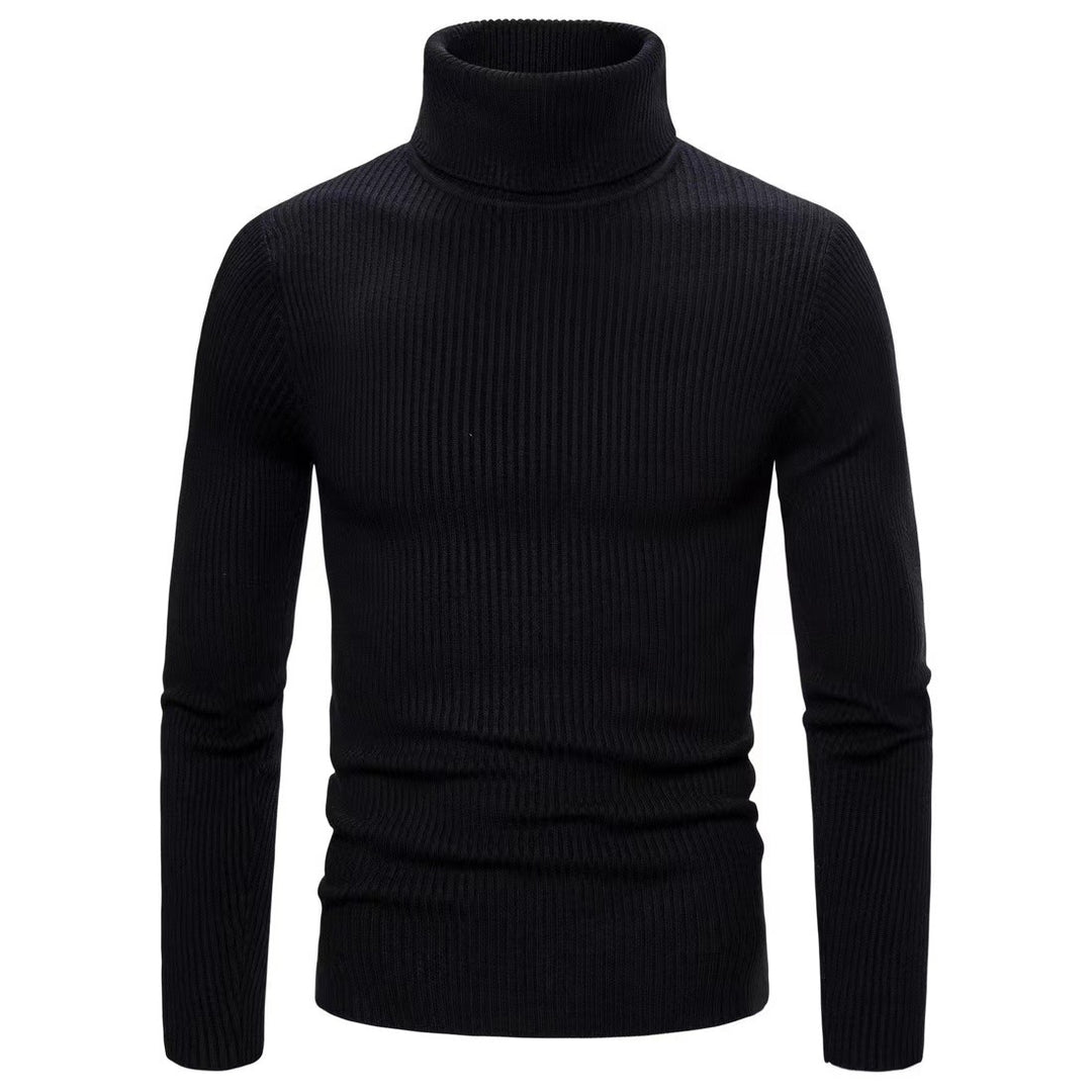 Herren modischer Rollkragenpullover mit Strukturmuster Echoarchiv