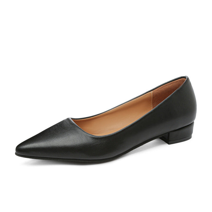 Damen klassische Ballerinas mit elegantem spitzen Design und bequemem Blockabsatz Echoarchiv