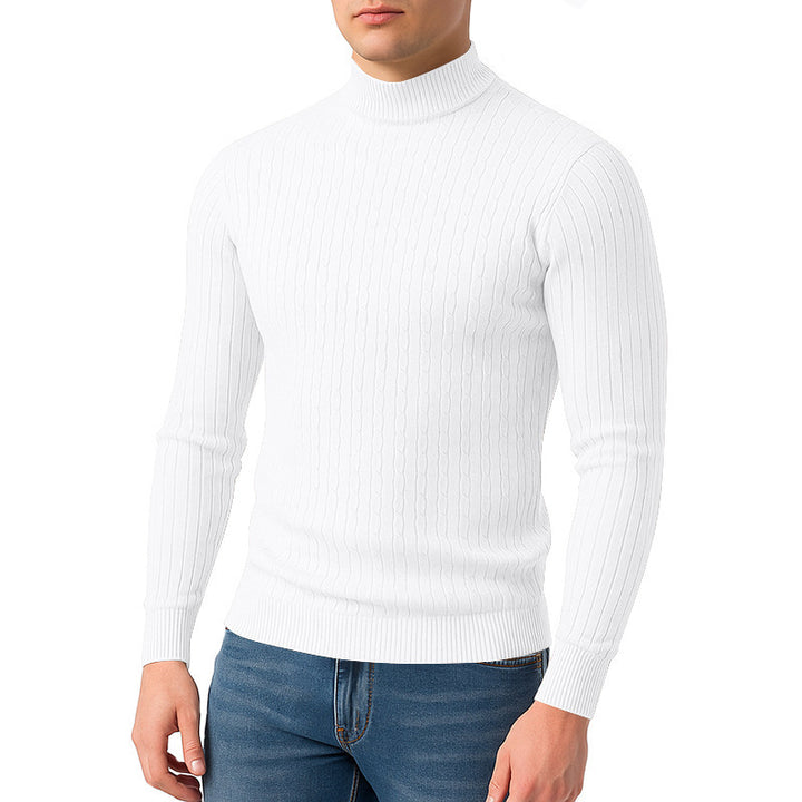 Herren modischer Rollkragenpullover mit strukturierter Oberfläche Echoarchiv