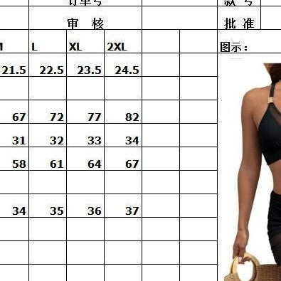 Damen Zweiteiliges Sport-Bikini-Set mit transparentem Überrock Echo Archiv