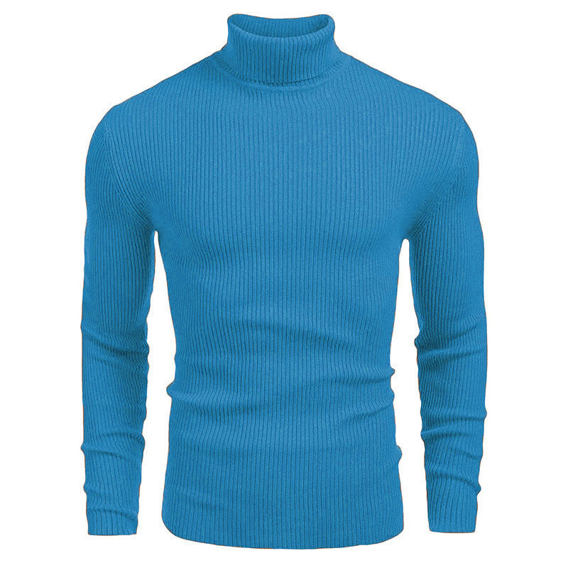 Herren Rollkragenpullover mit strukturiertem Rippdesign Echoarchiv