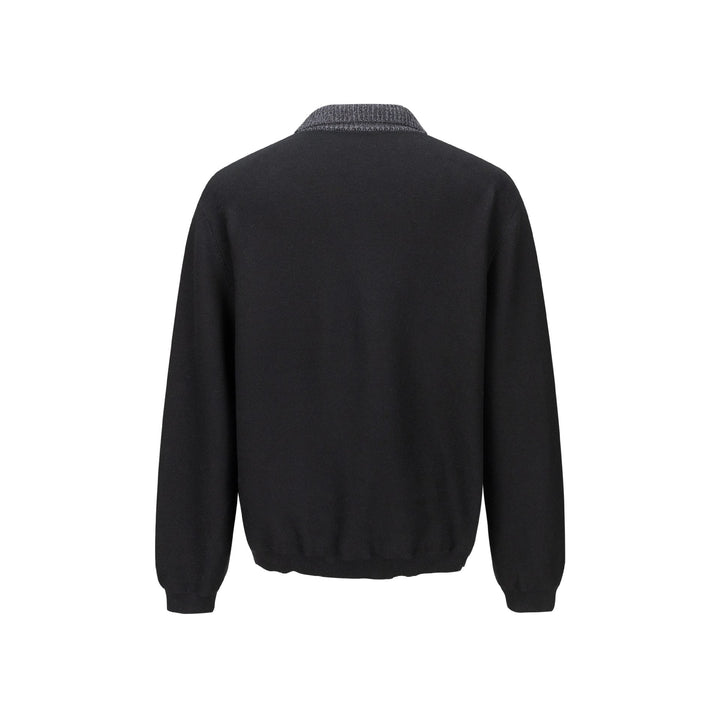 Herren Feinstrick-Polo-Pullover mit Strukturkragen und Knopfleiste Echoarchiv
