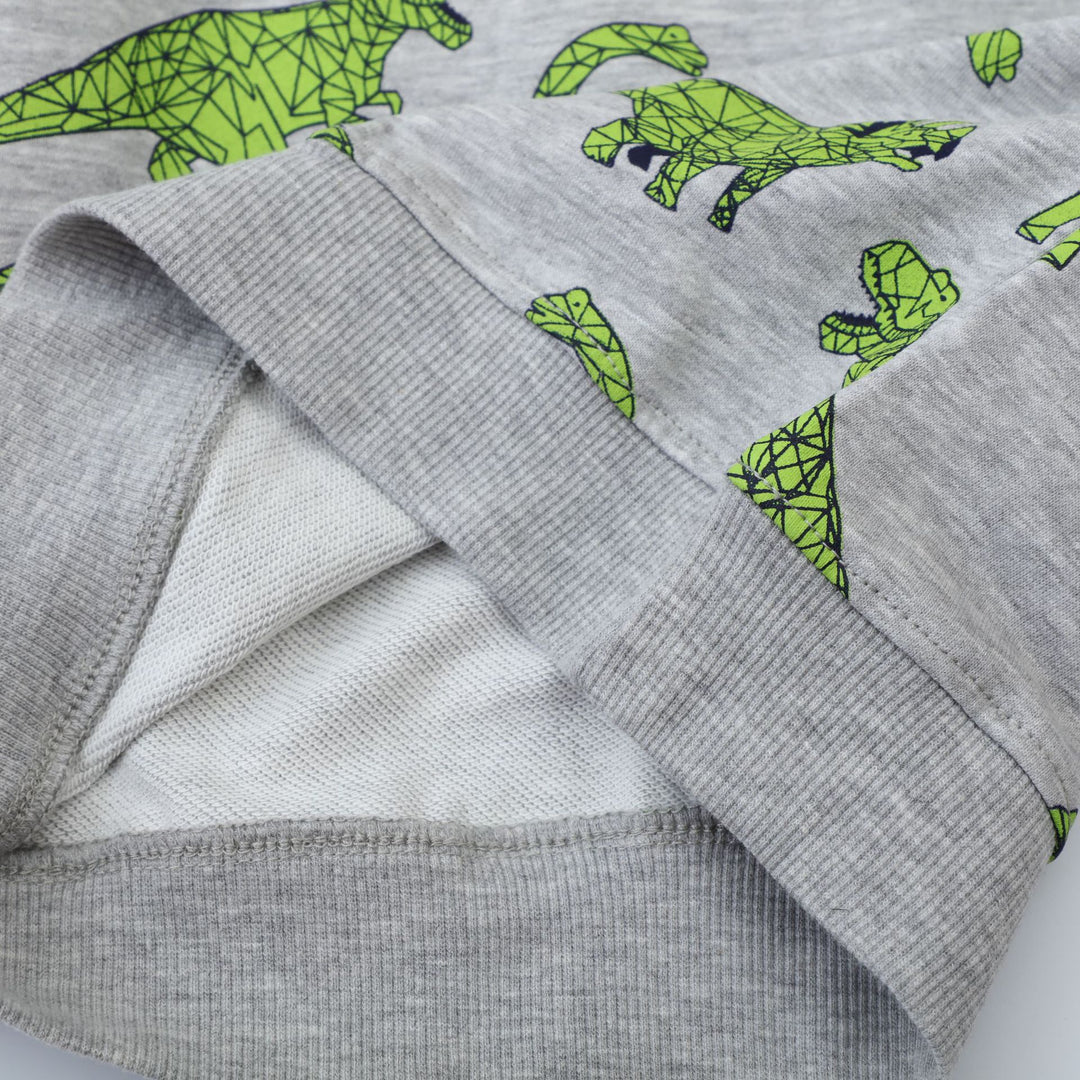 Kinder Sweatshirt mit kreativem Dinosaurier-Muster Echo Archiv