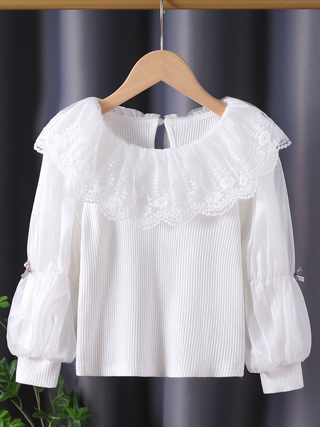 Damen elegante Bluse mit romantischem Spitzenkragen und Rüschendetails Echo Archiv