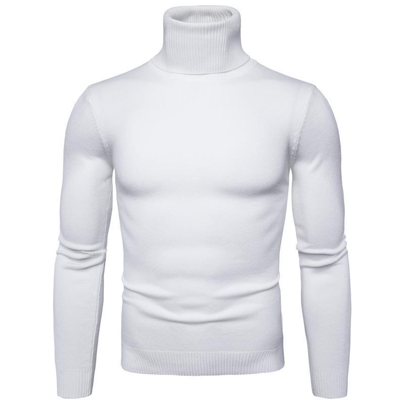 Herren Rollkragenpullover aus feiner Merinowolle Echoarchiv