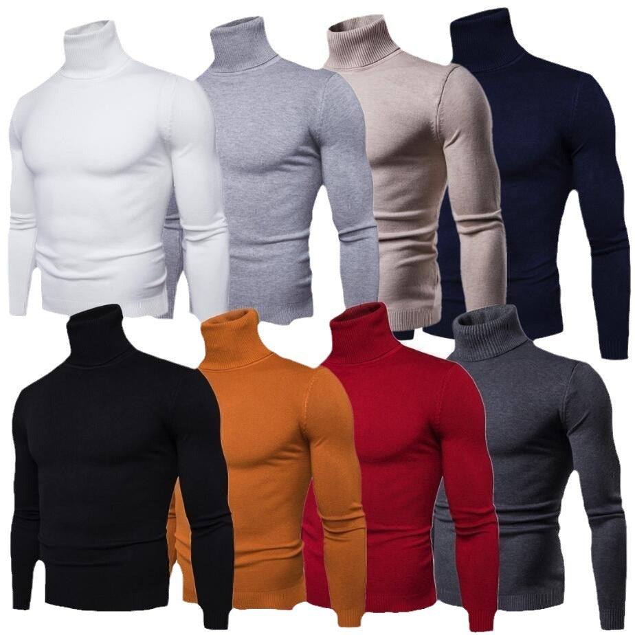 Herren figurbetonter Pullover mit Rollkragen Echoarchiv