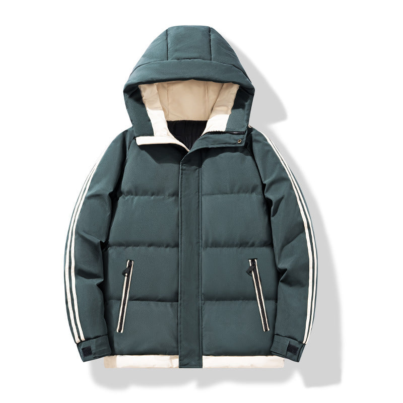 Herren Wärmende Steppjacke Echo Archiv