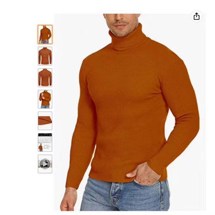 Herren Stehkragen Pullover aus ribbeltem Strick Echoarchiv
