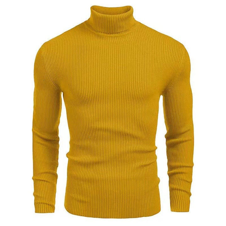 Herren Rollkragenpullover mit strukturiertem Rippenmuster Echoarchiv