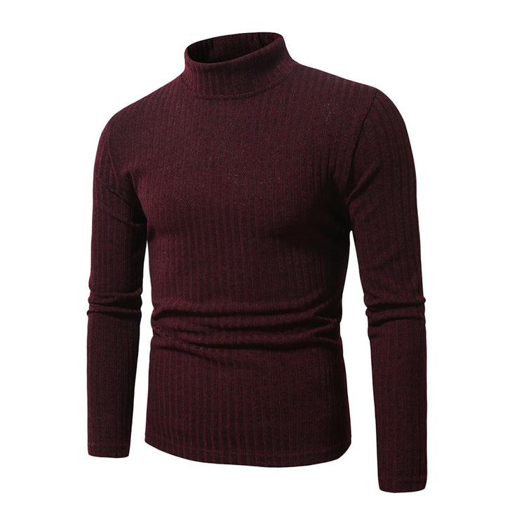Herren feinstrickender Rollkragenpullover Echoarchiv