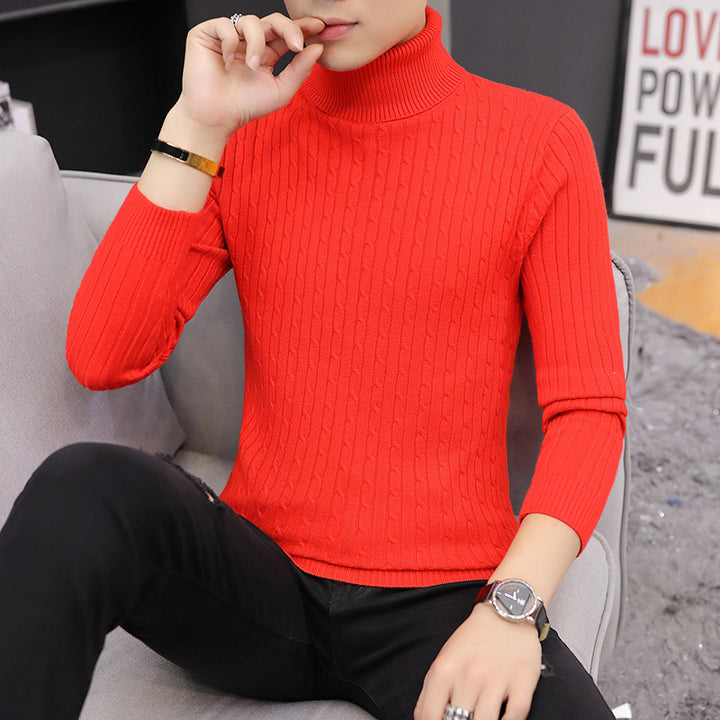 Herren Rollkragenpullover im stilvollen Rippstrickdesign Echoarchiv