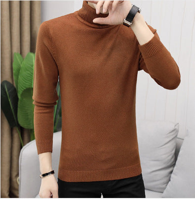 Herren Rollkragenpullover aus feiner Baumwolle mit figurbetontem Schnitt Echoarchiv