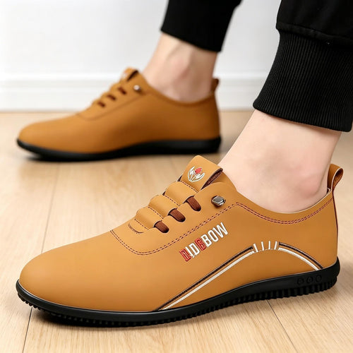 Herren Modische Sneakers mit elastischem Schnürsystem Echoarchiv