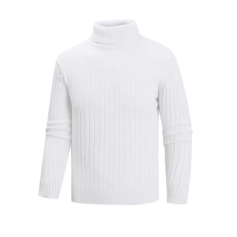 Herren Strickpullover mit Stehkragen Echoarchiv