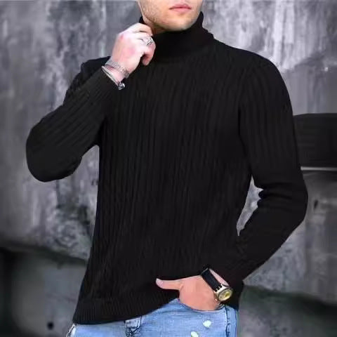 Herren Strickpullover mit modernem Rippmuster und hohem Kragen Echoarchiv