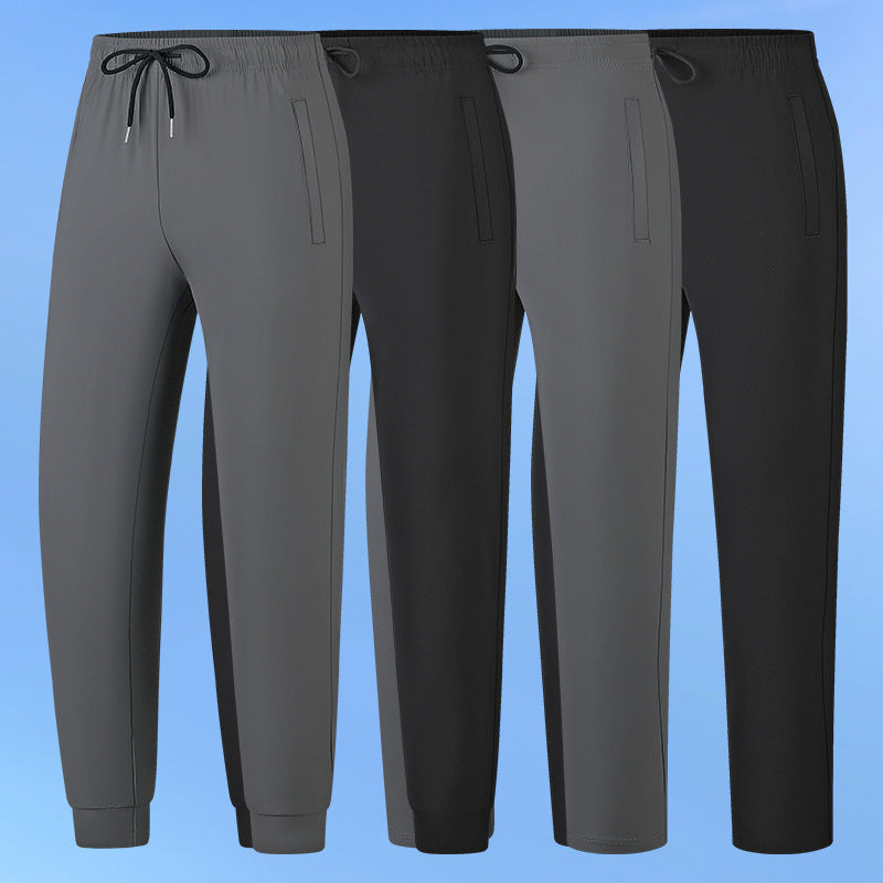 Herren Funktionale Sporthose Echo Archiv