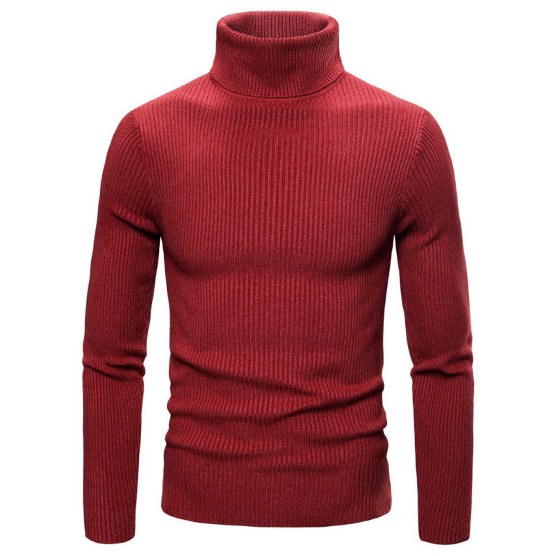 Herren Rollkragenpullover mit strukturiertem Rippdesign Echoarchiv