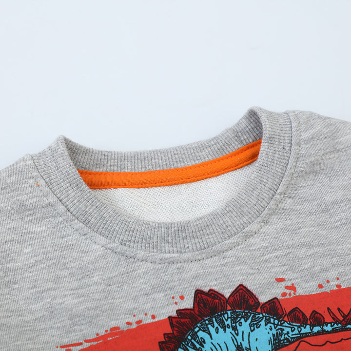 Jungen Sweatshirt mit lebendigem Dinosaurier-Motiv Echo Archiv