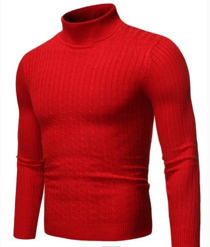 Herren nan gerippter Rollkragenpullover mit Zopfmuster und körpernaher Slim-Fit-Silhouette Echo Archiv