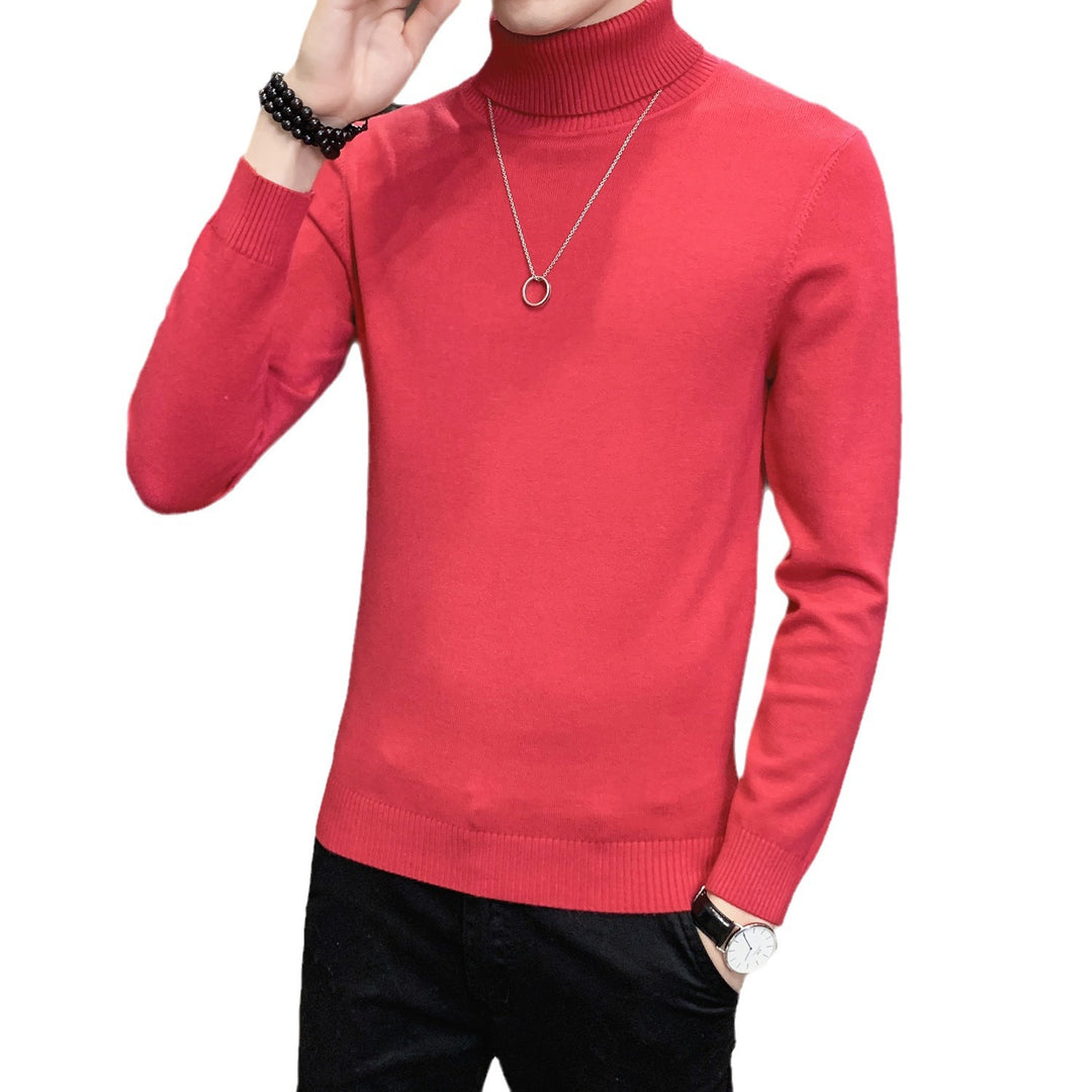 Herren Pullover mit hohem Kragen aus weicher Strickware Echoarchiv