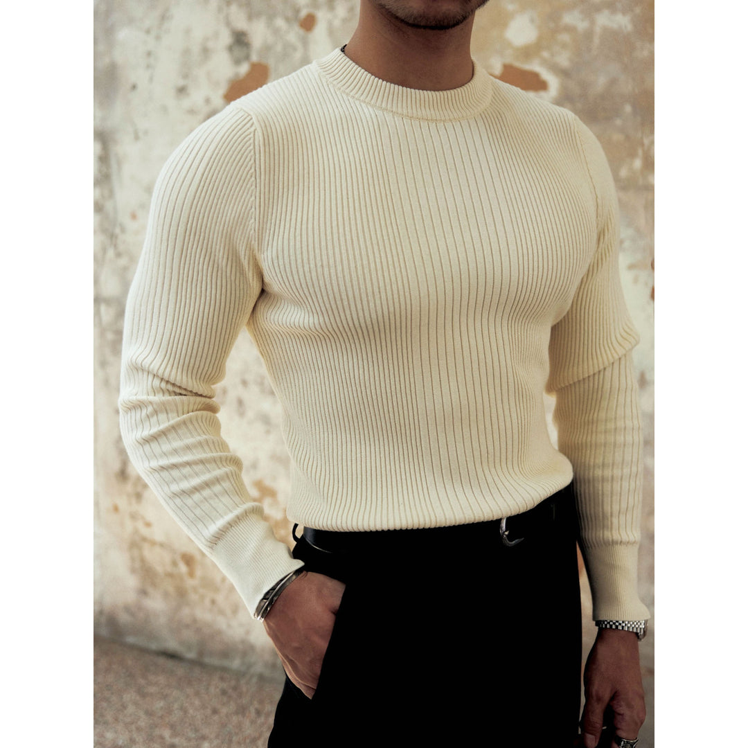 Herren Modischer Rippstrickpullover Echoarchiv