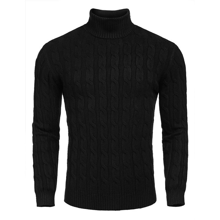 Herren modischer Rollkragenpullover mit Zopfmuster Echoarchiv