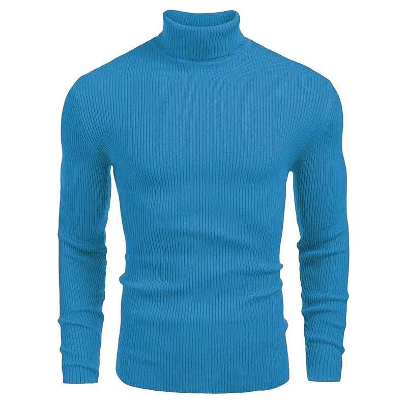 Herren Rollkragenpullover mit strukturiertem Rippenmuster Echoarchiv