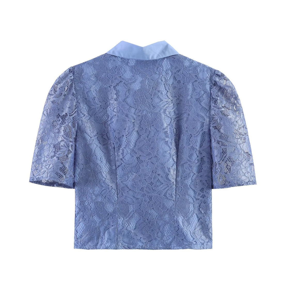 Damen Transparente Spitzenbluse mit Hemdkragen und Puffärmeln Echoarchiv