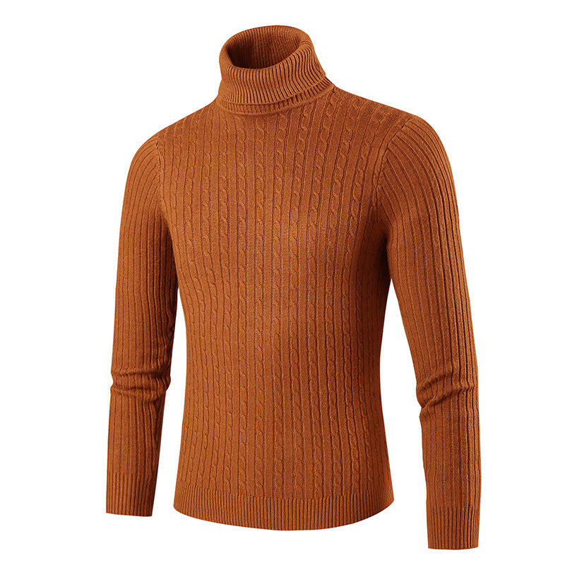 Herren modischer Rollkragenpullover aus strukturiertem Strick Echoarchiv