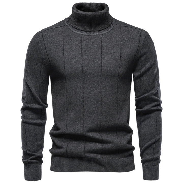 Herren Rollkragenpullover aus hochwertigem Feinstrick mit vertikaler Strukturnaht Echoarchiv