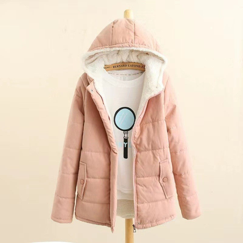Damen nan gesteppte Kapuzenjacke mit Teddyfutter, verdeckter Druckknopfleiste und aufgesetzten Taschen Echo Archiv